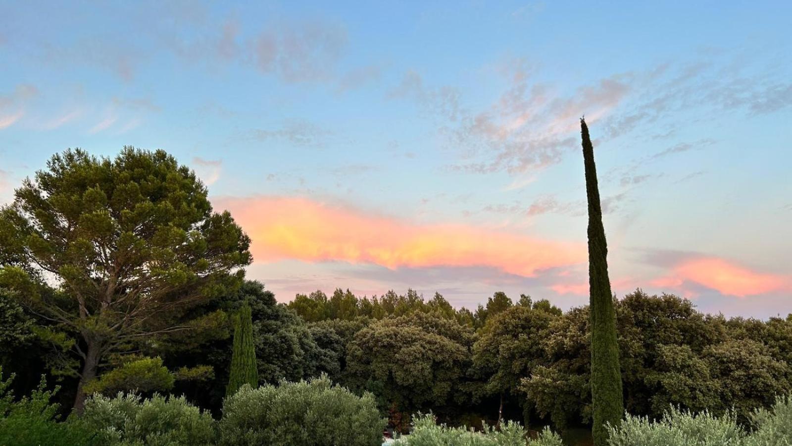 Hotel Domaine Colibri En Provence Pujaut Zewnętrze zdjęcie